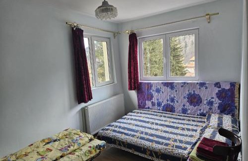 Sinaia Apartment | Apartament Retro-relax