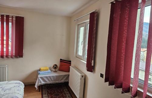 Sinaia Apartment | Apartament Retro-relax