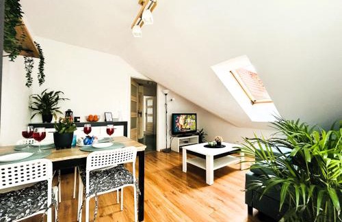 Opole Apartment | Apartament Słoneczny 1