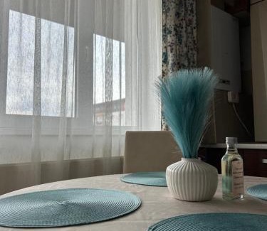 Bistrita Apartment | Apartament Sonia - 2 dormitoare