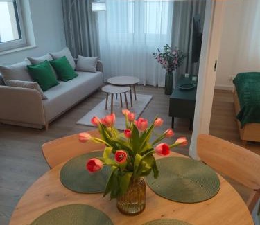 Zamosc Apartment | Apartament Staś i Nel