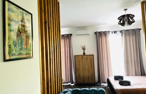 Timisoara Apartment | Apartament Studio BiAn
