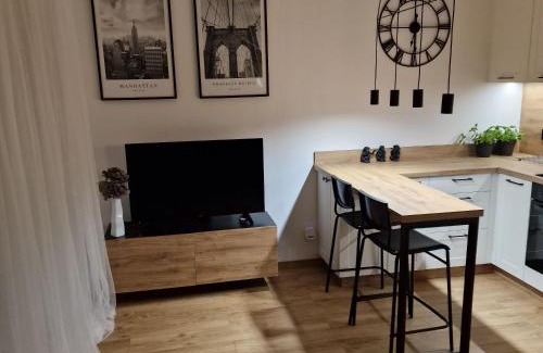 Pniewy Apartment | Apartament Studio