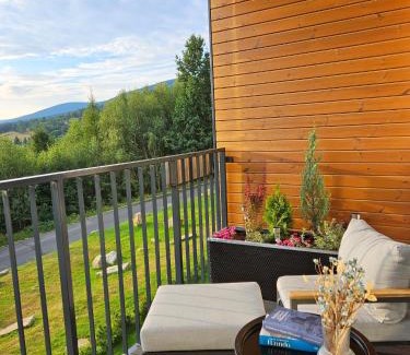 Swieradow-Zdroj Apartment | Apartament Szyszka Izerski Resort - strefa z sauną