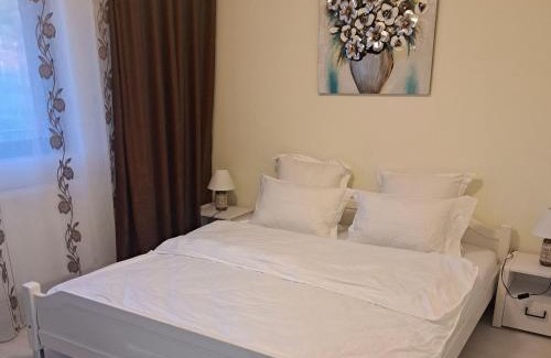 Iasi Apartment | Apartament Teo