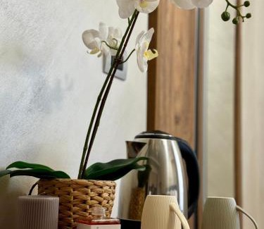 Vanchiglia Apartment | APARTAMENT - Torino Home Living