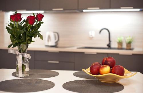 West Pomeranian Voivodeship Apartment | Apartament Toscania