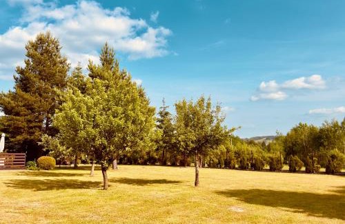 Wilkow Apartment | Apartament u kucharzy Łysica 1
