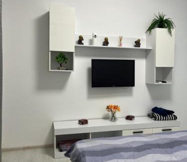 Arad Apartment | Apartament UTA