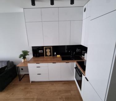 Kielce Apartment | Apartament Ventus Business and Living 46