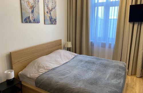 Koscierzyna Apartment | Apartament w centrum