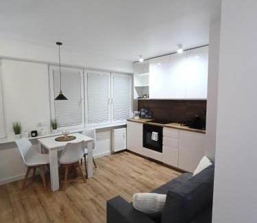 Ostroleka Apartment | Apartament WITOSA
