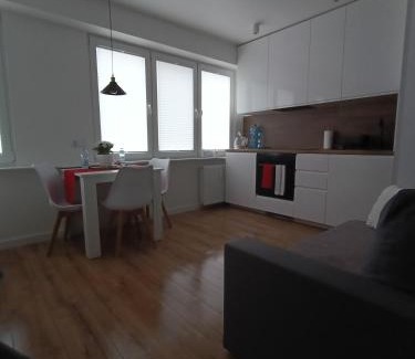Ostroleka Apartment | Apartament WITOSA