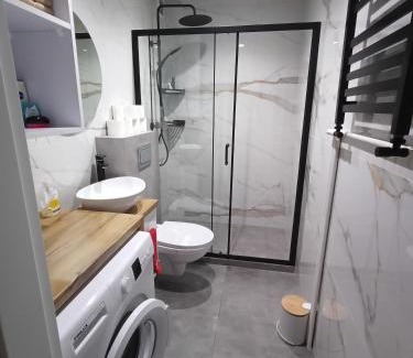 Ostroleka Apartment | Apartament WITOSA