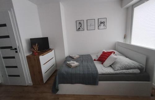 Ostroleka Apartment | Apartament WITOSA
