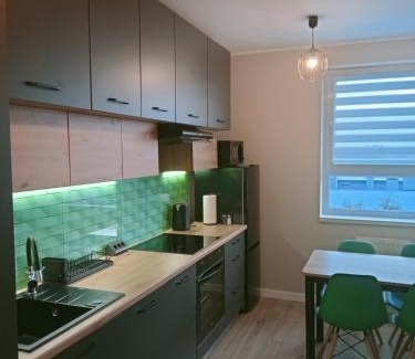Psie Pole Apartment | Apartament z Widokiem, wygodny Apartament z sypialnią, kuchnią i salonem, 47m2, bezpłatny garaż