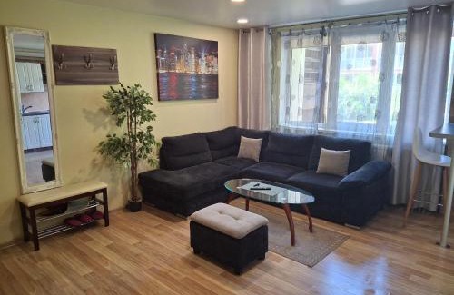 Birstonas Apartment | Apartamentai Dana