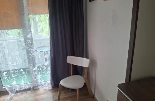 Birstonas Apartment | Apartamentai Dana