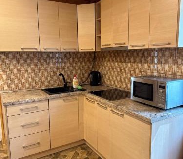Druskininkai Apartment | Apartamentai Renata