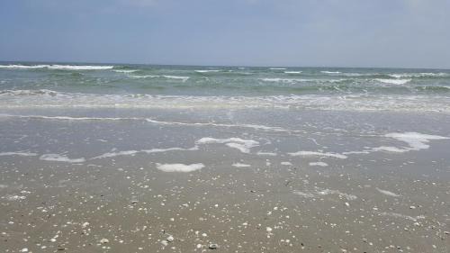 Mamaia-Sat Apartment | Apartamente Olivia