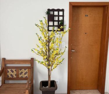 Lavras Apartment | Apartamento Centro Lavras