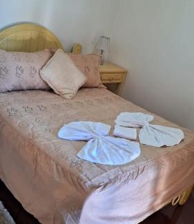 Vila Izabel Apartment | Apartamento Cobertura Duplex com Lareira