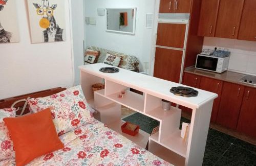 Centro Apartment | Apartamento Con Encanto 'Larios Studio'
