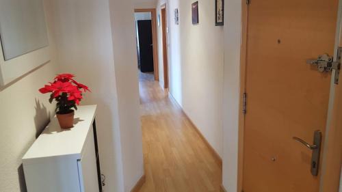 Santa Pola Apartment | Apartamento con tres dormitorios Vista Mar