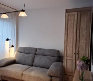 Cangas de Onis Apartment | Apartamento Dobra