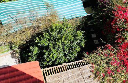 Downtown La Paz Apartment | Apartamento entero en Sopocachi