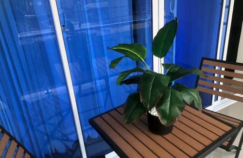 Bonao Apartment | Apartamento Felix Rental