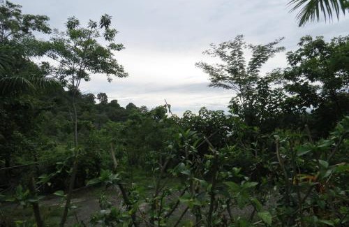 Manuel Antonio Apartment | Apartamento Karibu