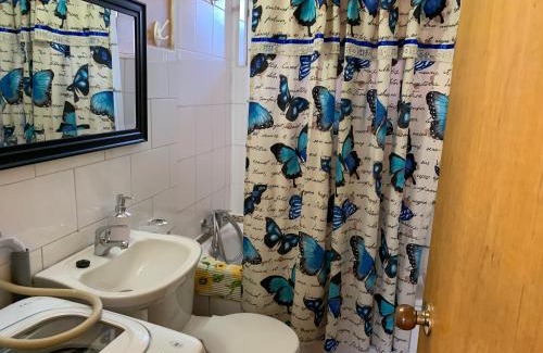 Coyhaique Apartment | Apartamento Patagonia Dove