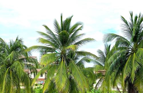 Porto das Dunas Apartment | Apartamento Pertinho do Beach Park