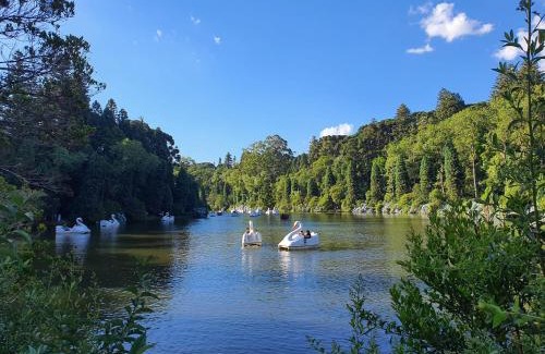 Gramado Apartment | Apartamento Refúgio do Ipê em Gramado - Próximo ao Lago Negro