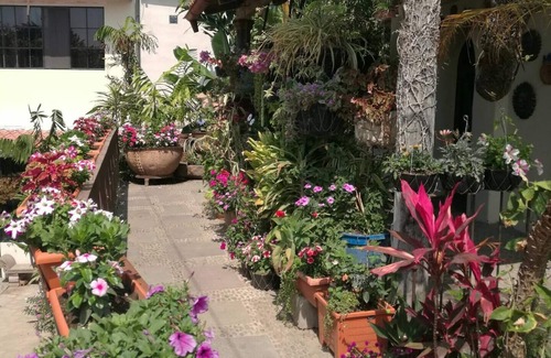 San Salvador Apartment | Apartamento rusticon