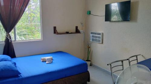 Cancun Apartment | Apartamento tipo estudio, Chechén, Free WiFi