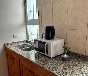 General Alvear Apartment | Apartamentos El Viñedo 8
