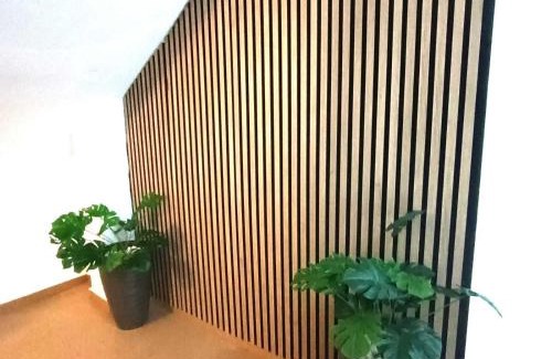 Centro Apartment | Apartamentos larios