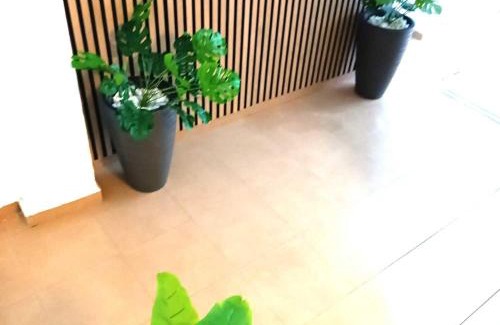 Centro Apartment | Apartamentos larios