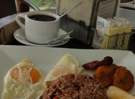 Jaco Hotel | Apartamentos Palmas Doradas