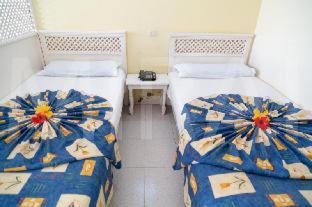 Puerto de la Cruz Apartment | Apartamentos Pez Azul