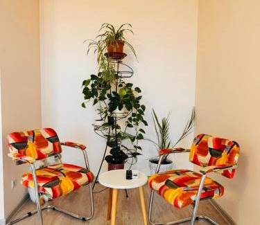 Kosuv Stary Apartment | Apartaments Sichovyh Strilciv 68a