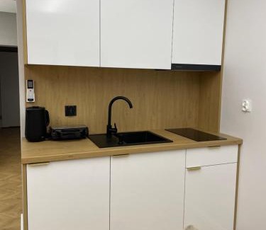 Spytkowice Apartment | Apartamenty 91