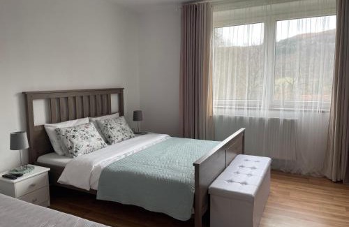 Pieszyce Apartment | Apartamenty AGAT