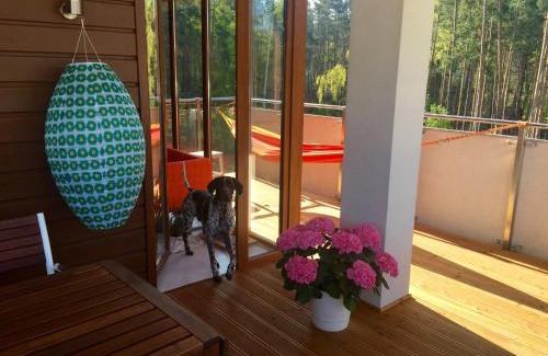 Stegna Apartment | Apartamenty Flaming Baltic Park Stegna