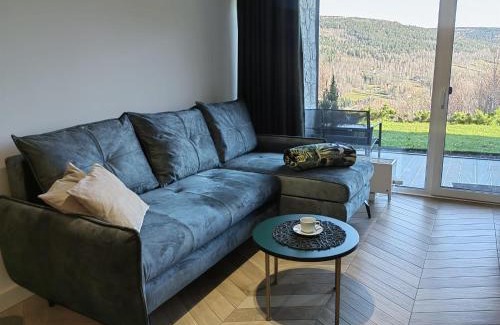 Swieradow-Zdroj Apartment | Apartamenty Kalina z widokiem na góry - Kilińskiego