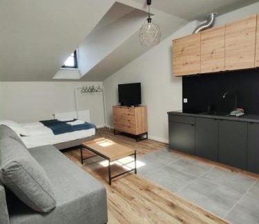 Tarnow Apartment | Apartamenty na Rynku Tarnów