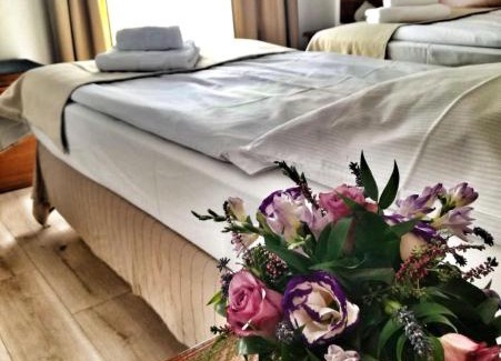 Swidnica Apartment | Apartamenty Pod Lwem