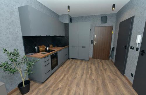 West Pomeranian Voivodeship Apartment | Apartamenty Studio Nova 1 Nad Odrą Szczecin